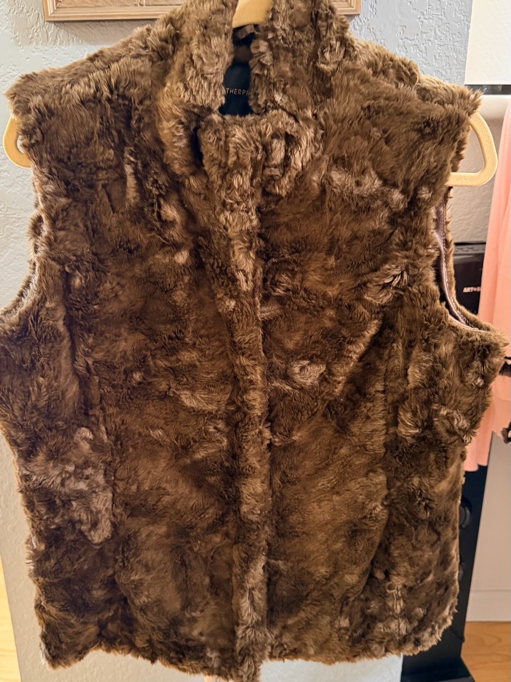 Plush Faux Fur Brown Vest